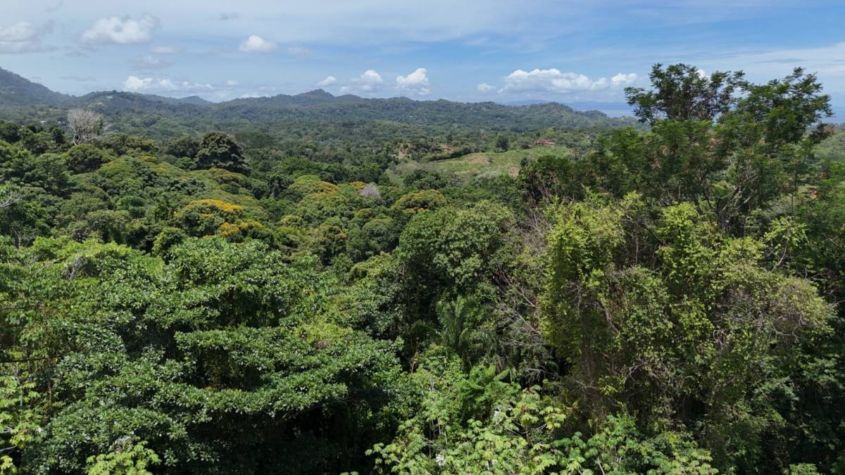 Propiedad en Ojochal