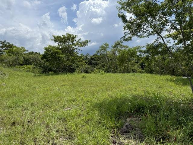 Property at Tárcoles
