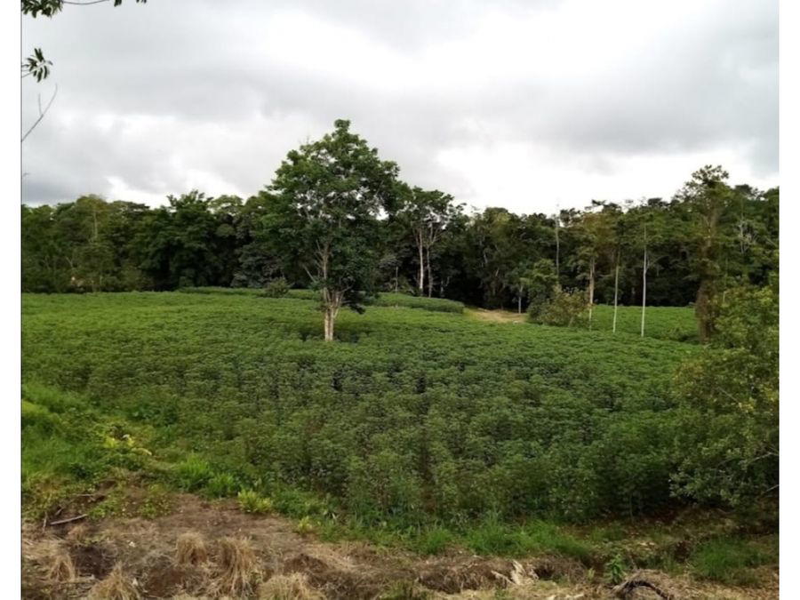 Finca en Venado