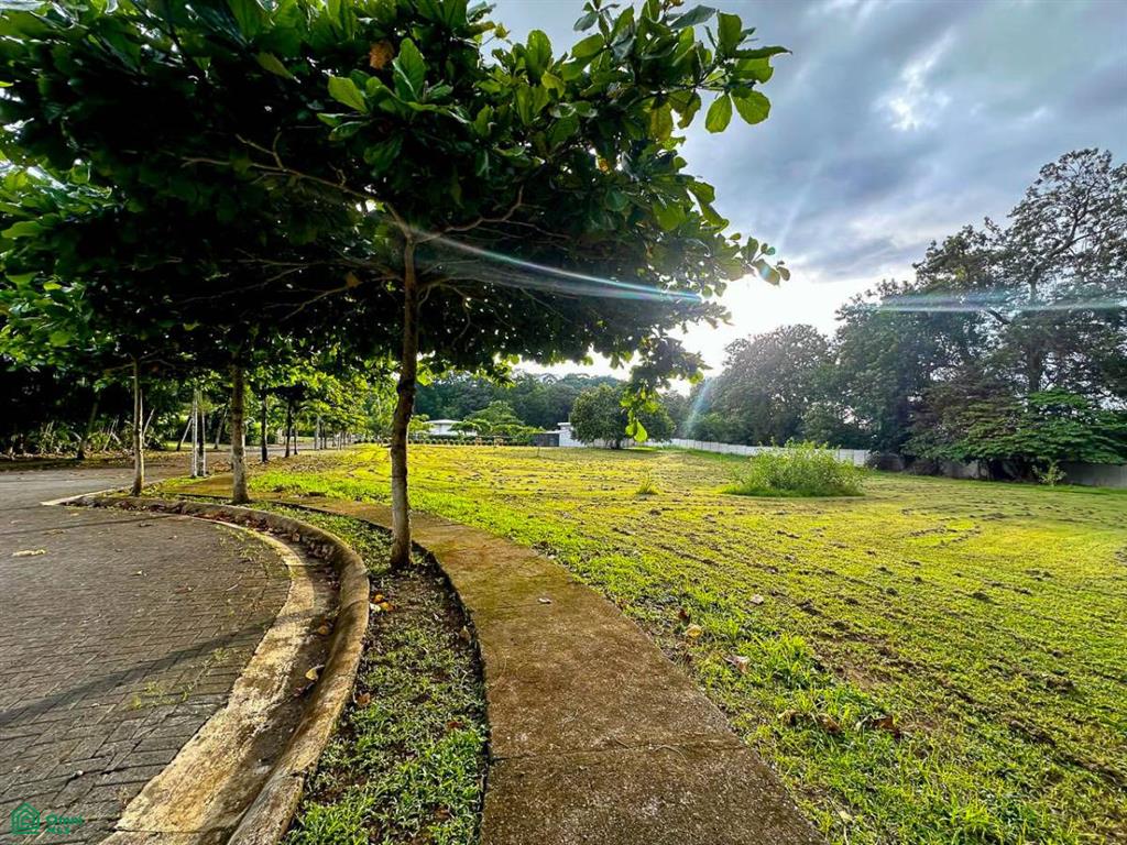 Land at Tárcoles