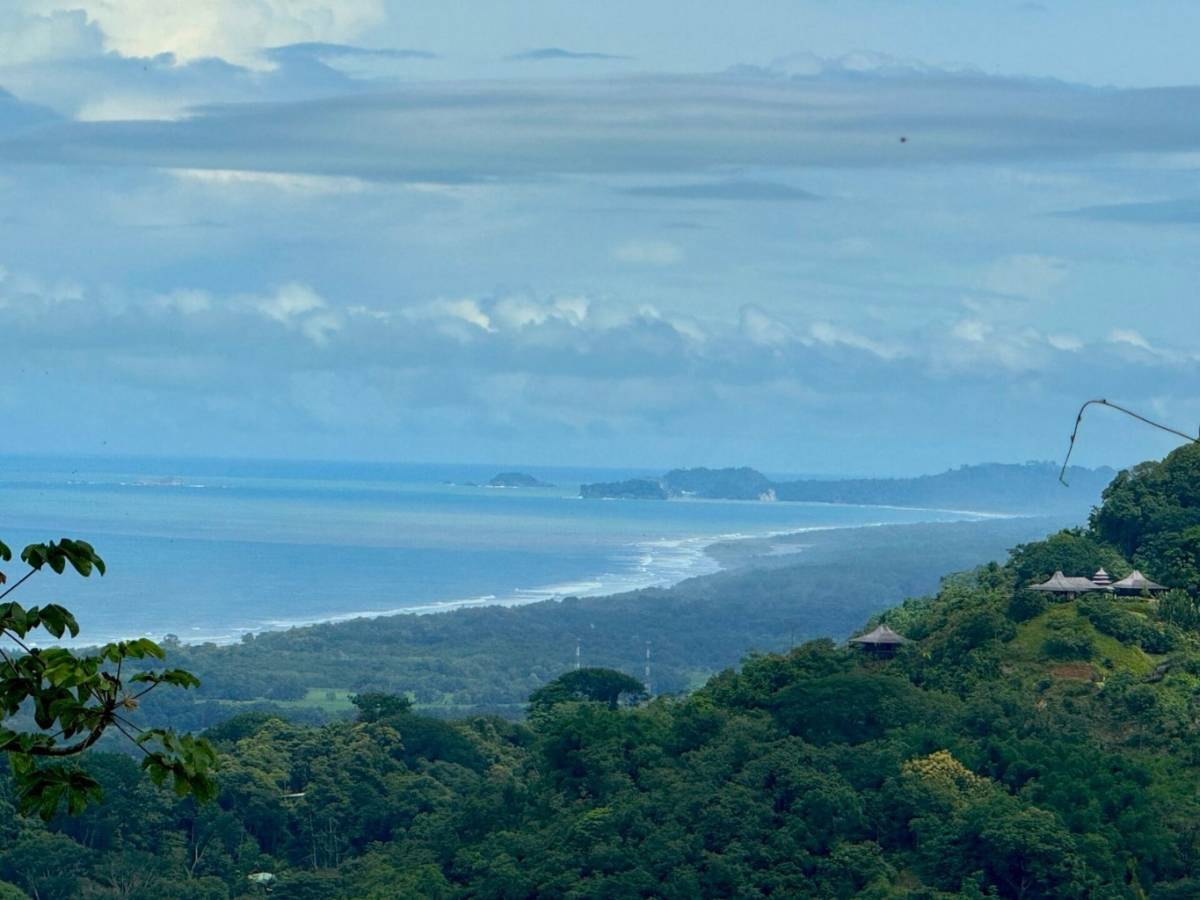 Propiedad en Palmar