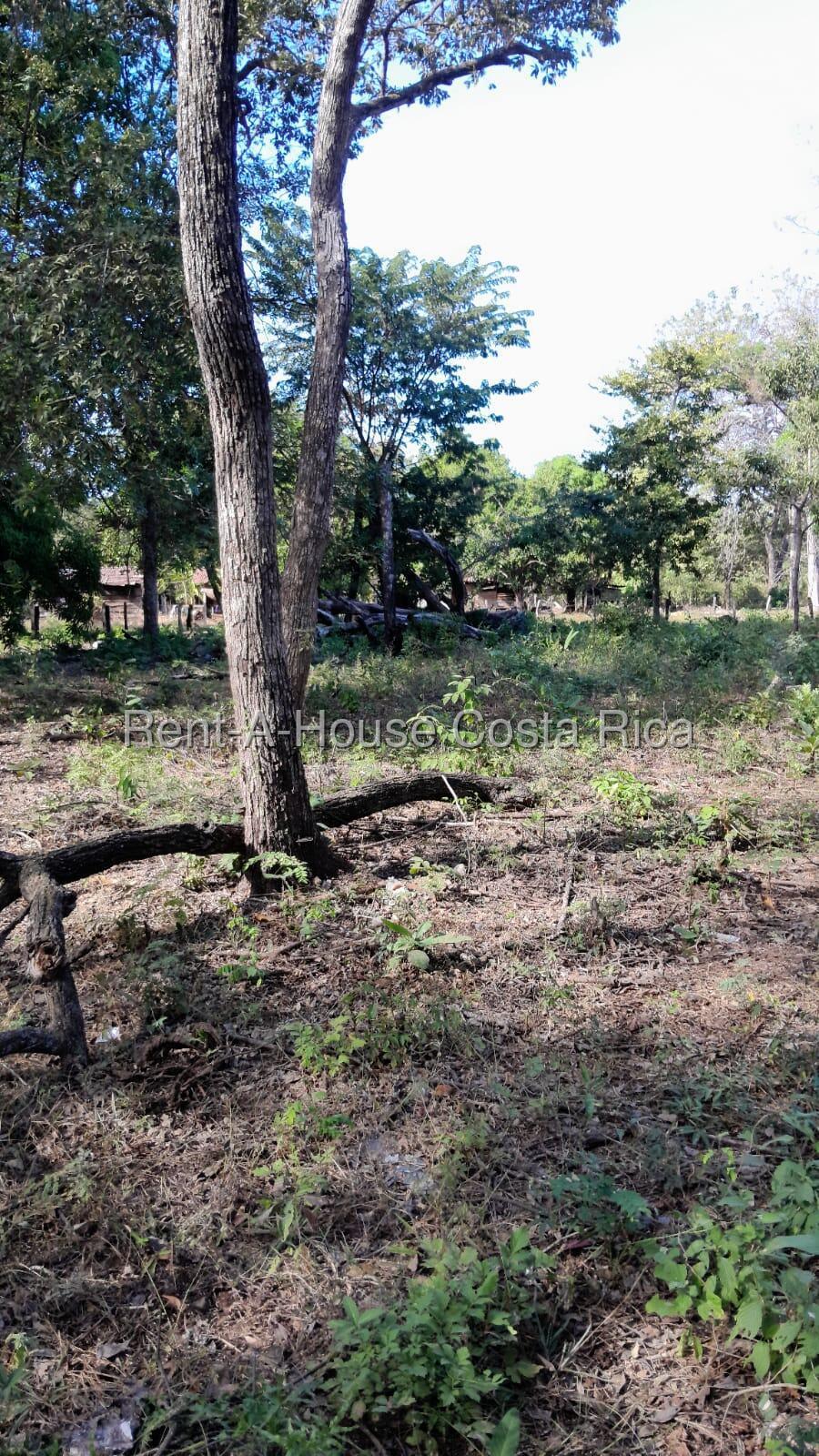 Property at Belén