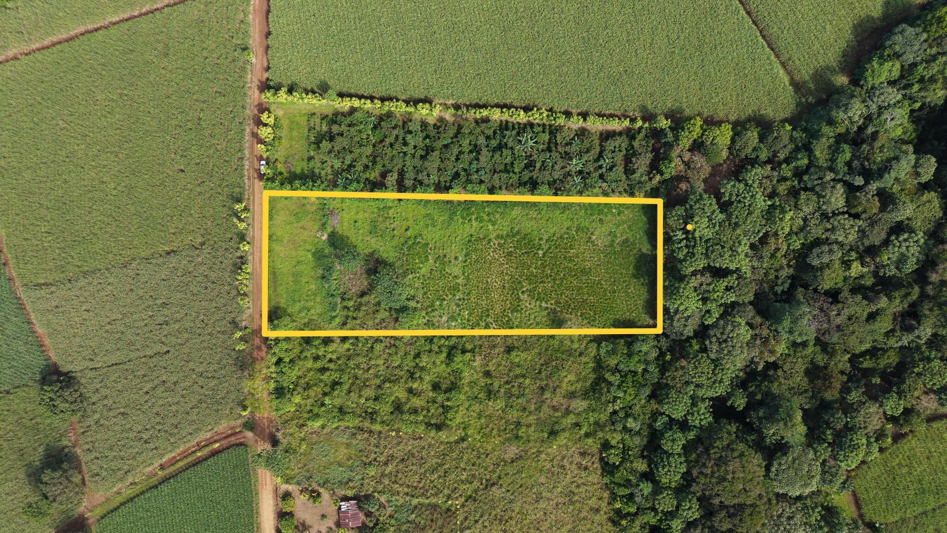 Land at Cajón