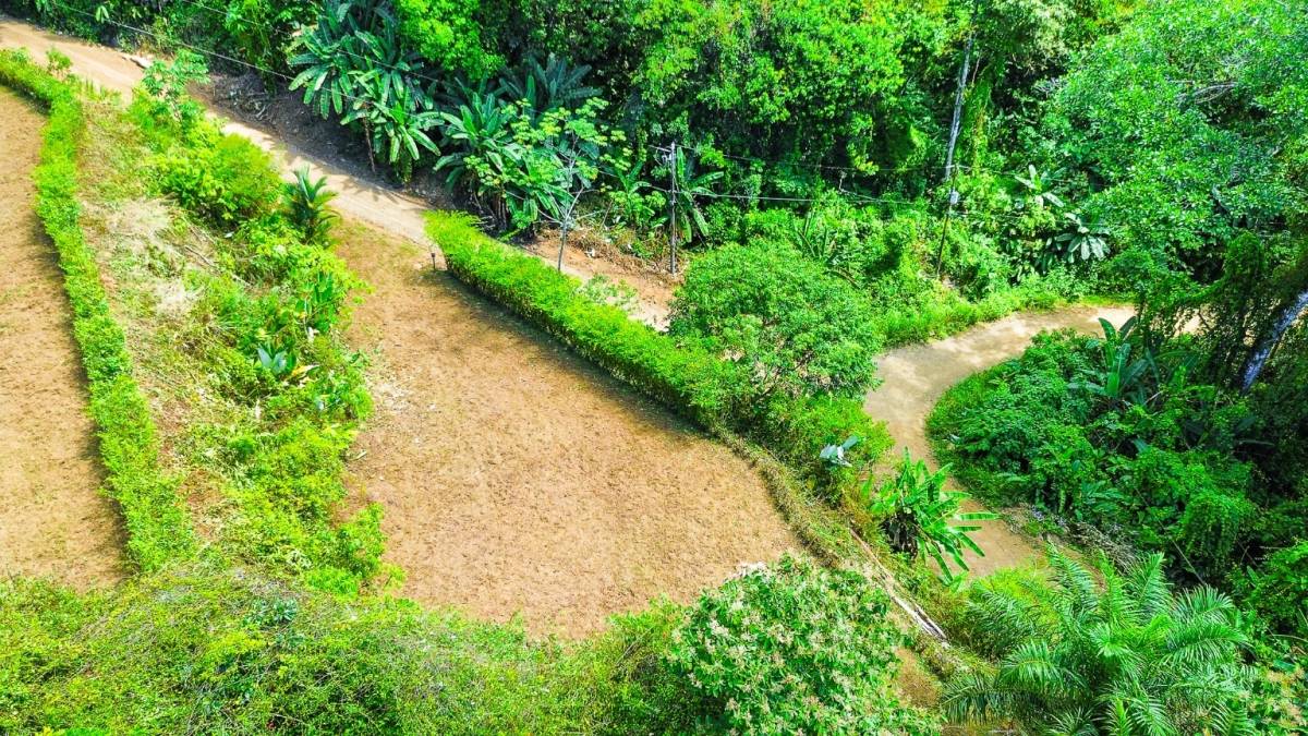 Property at Ojochal