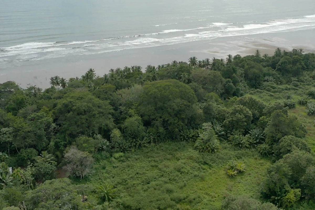 Property at Uvita