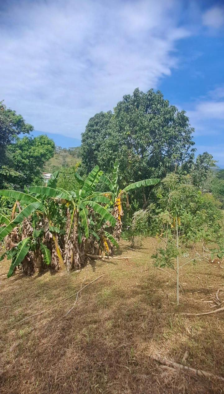 Terreno en Carara