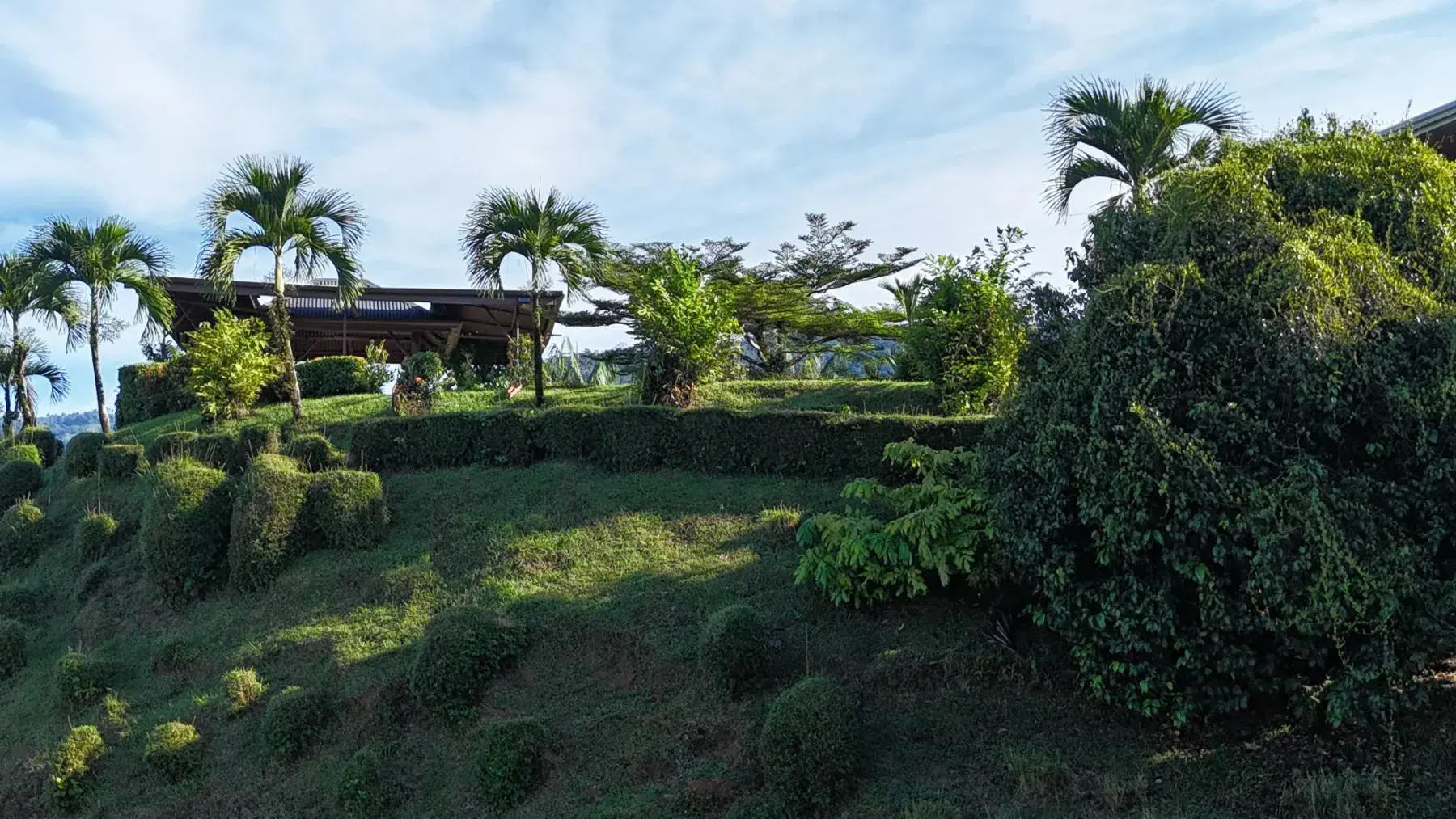 Apartment at Bahía Ballena