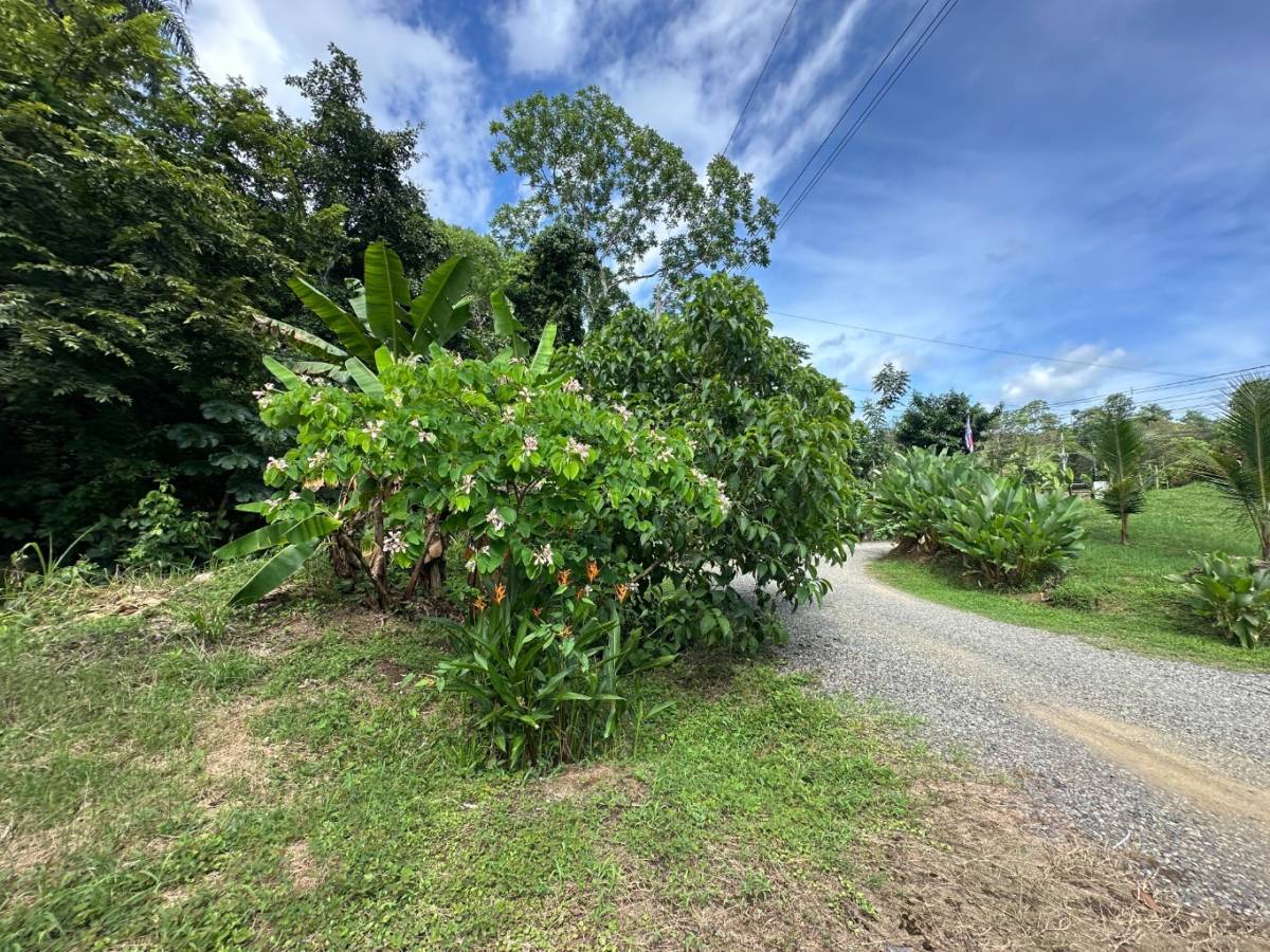 Property at Quebrada Amarilla