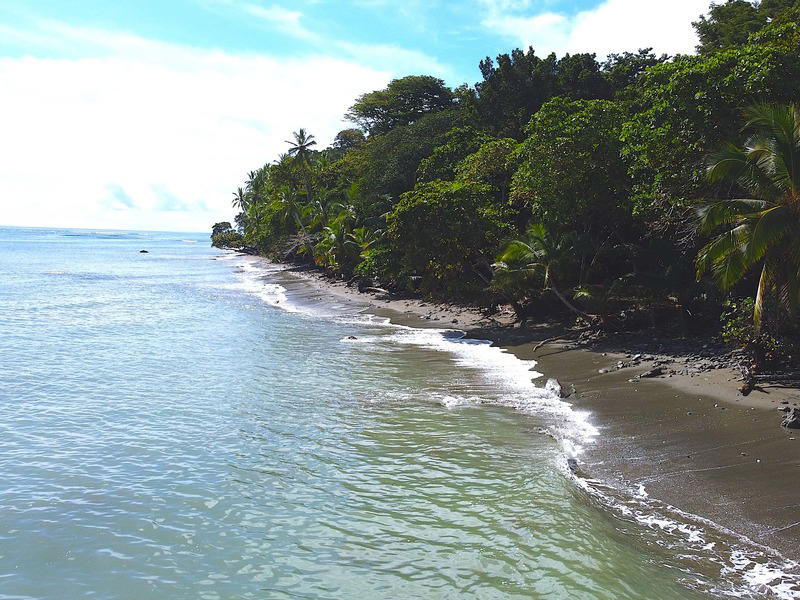 Property at Puerto Jiménez