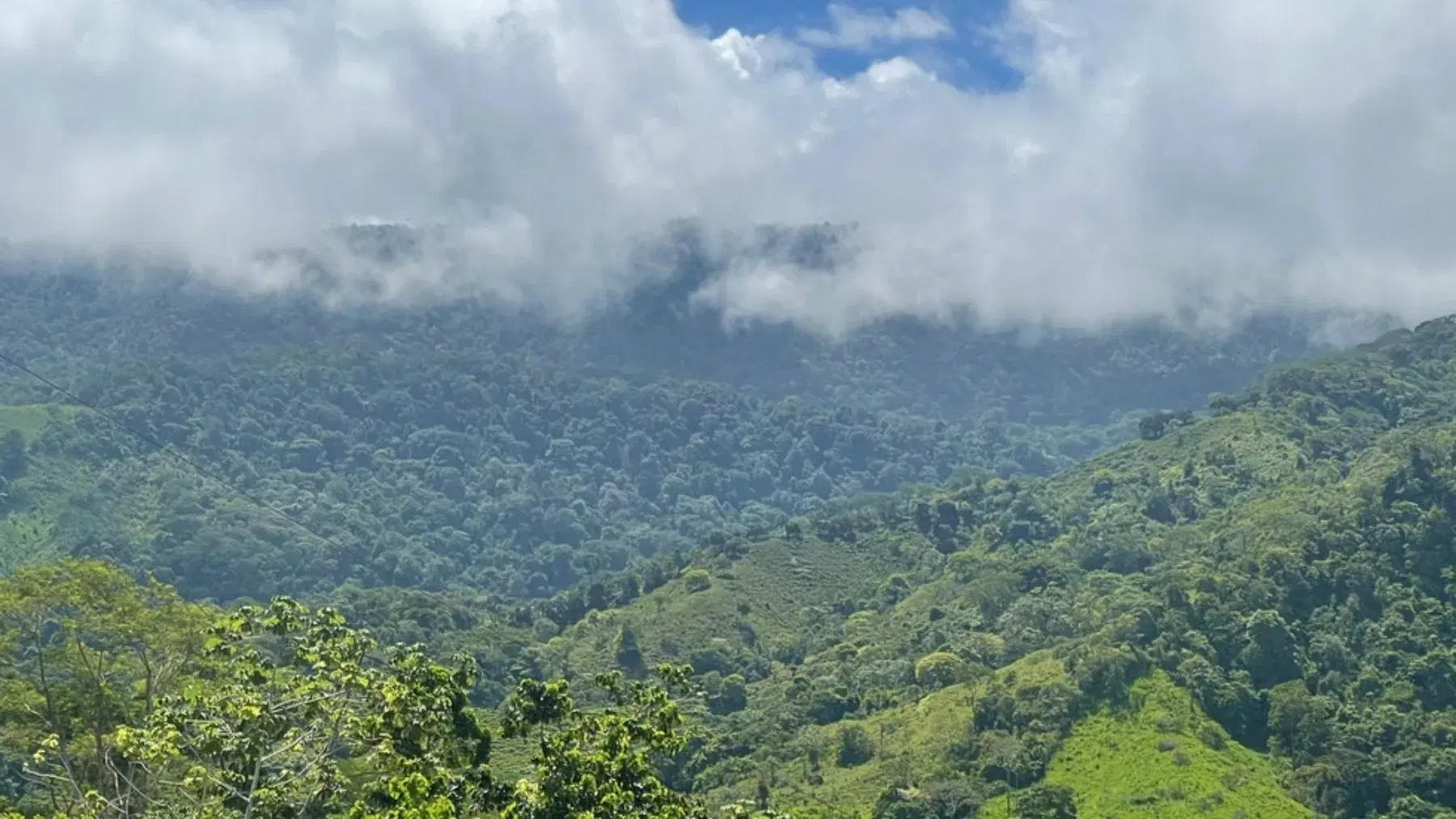 Terreno en Bahía Ballena