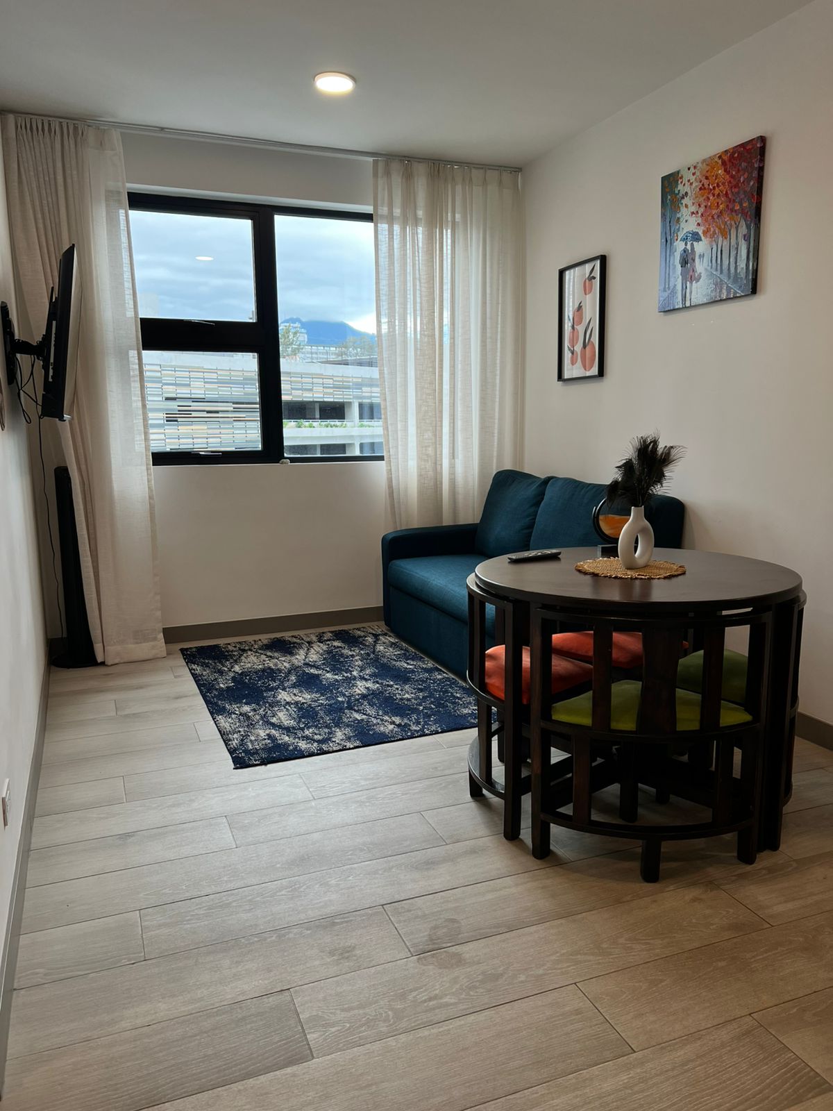 Apartment at Mata Redonda