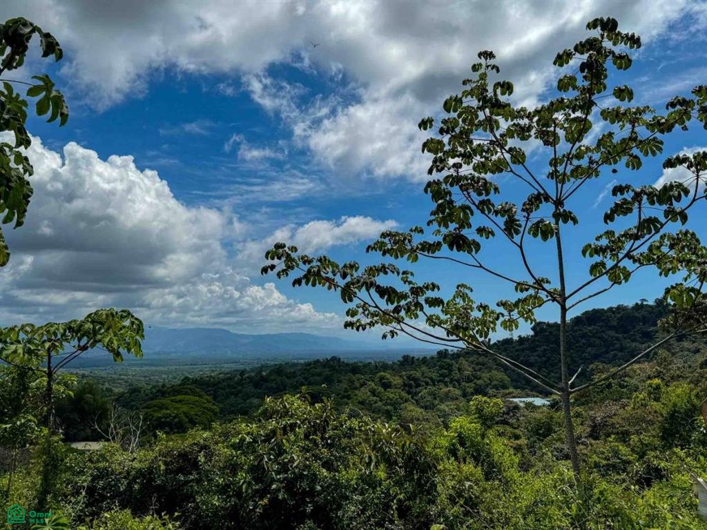 Land at El Salto