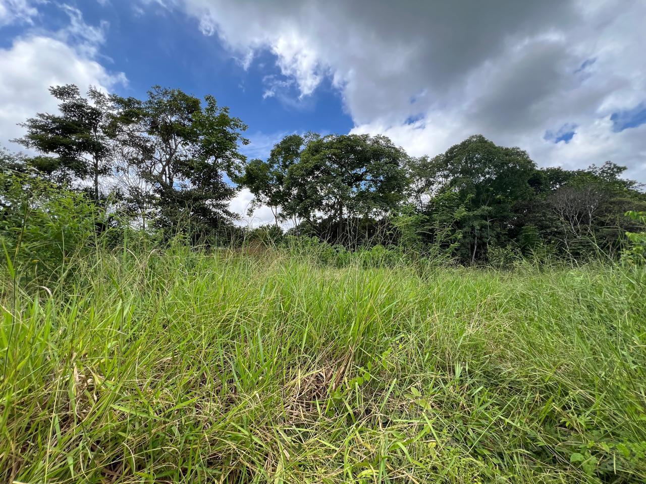 Property at San Pablo