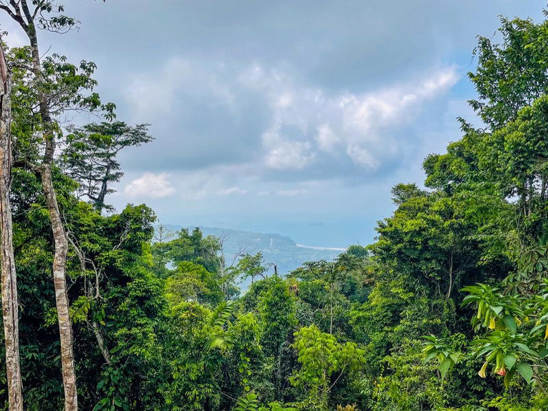 Land at Bahía Ballena