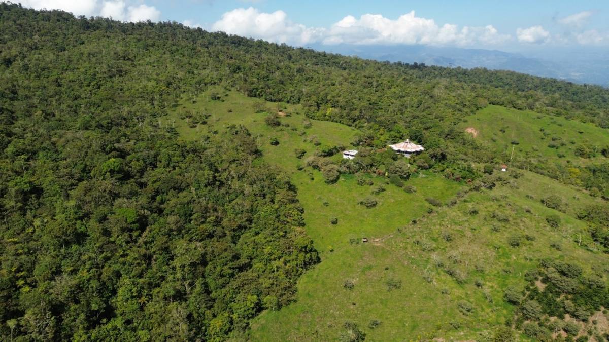 Finca en Turrialba