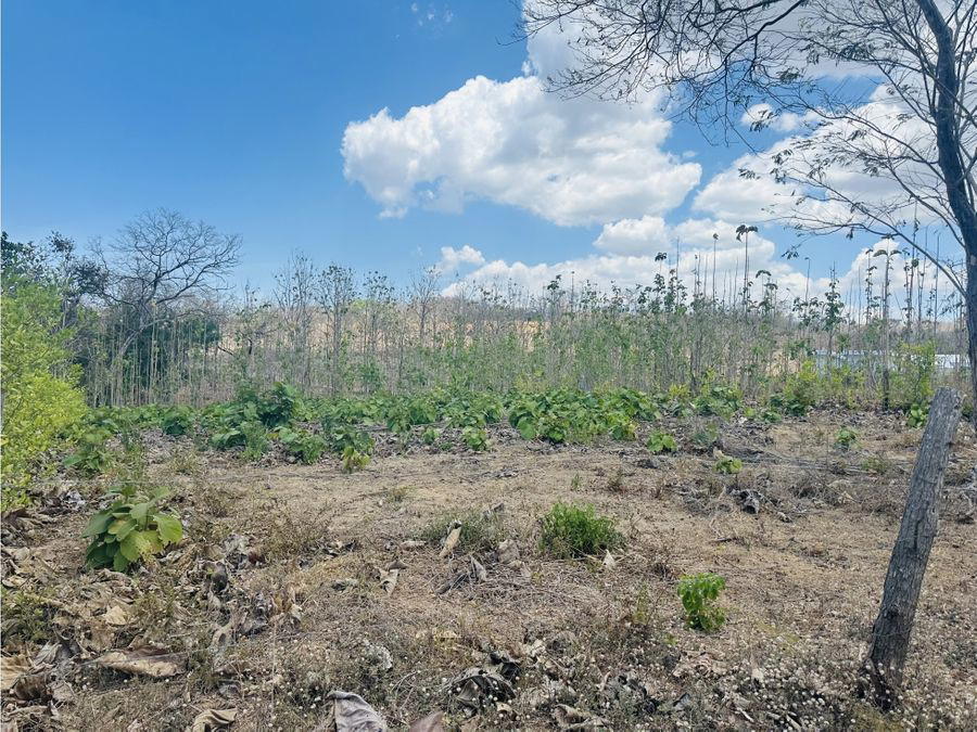 Terreno en Tamarindo