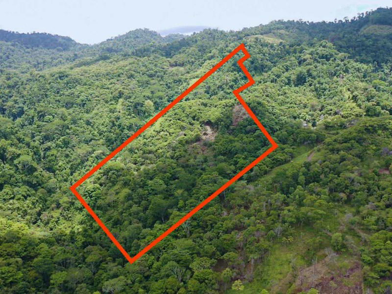 Land at Savegre