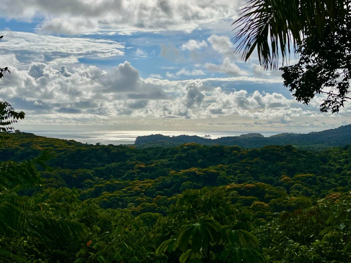 Property at Punta Mala
