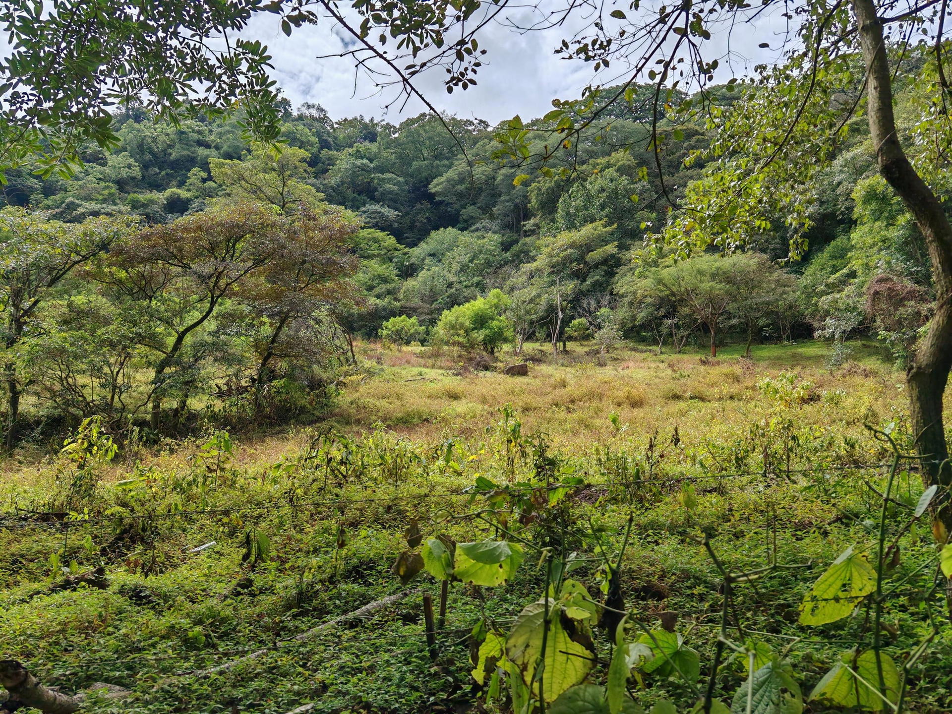 Property at Colón