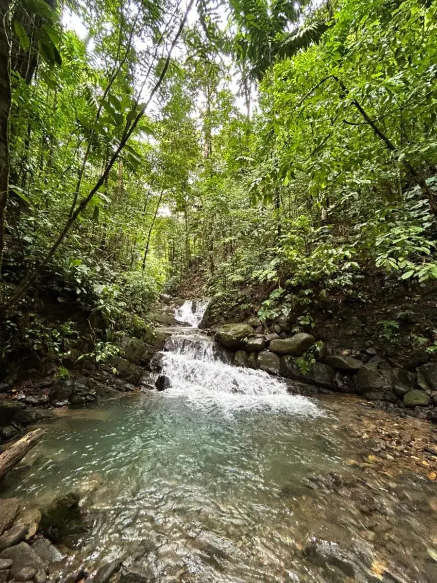 Land at Bahía Ballena