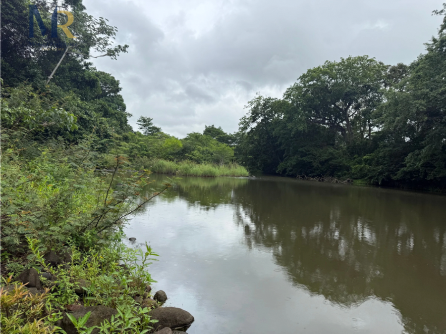 Finca en La Cruz