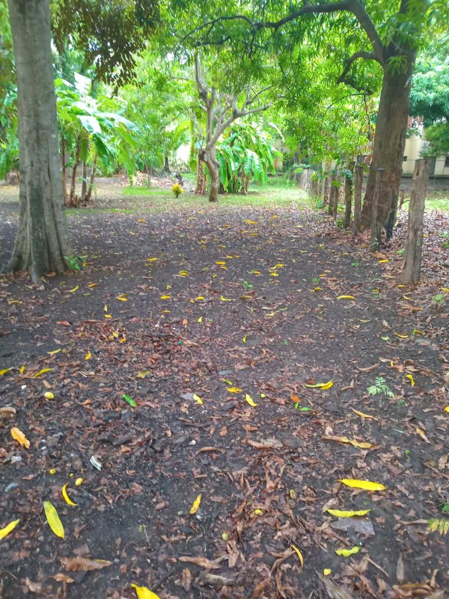 Land at Sardinal