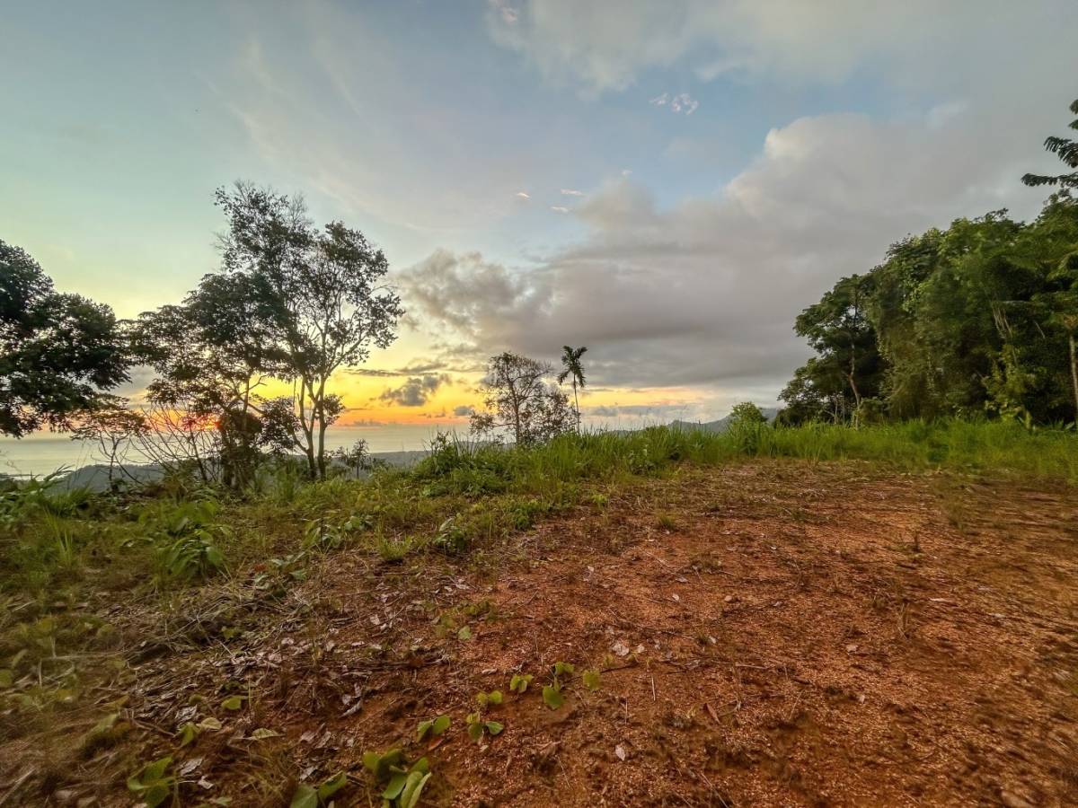 Property at Punta Mala