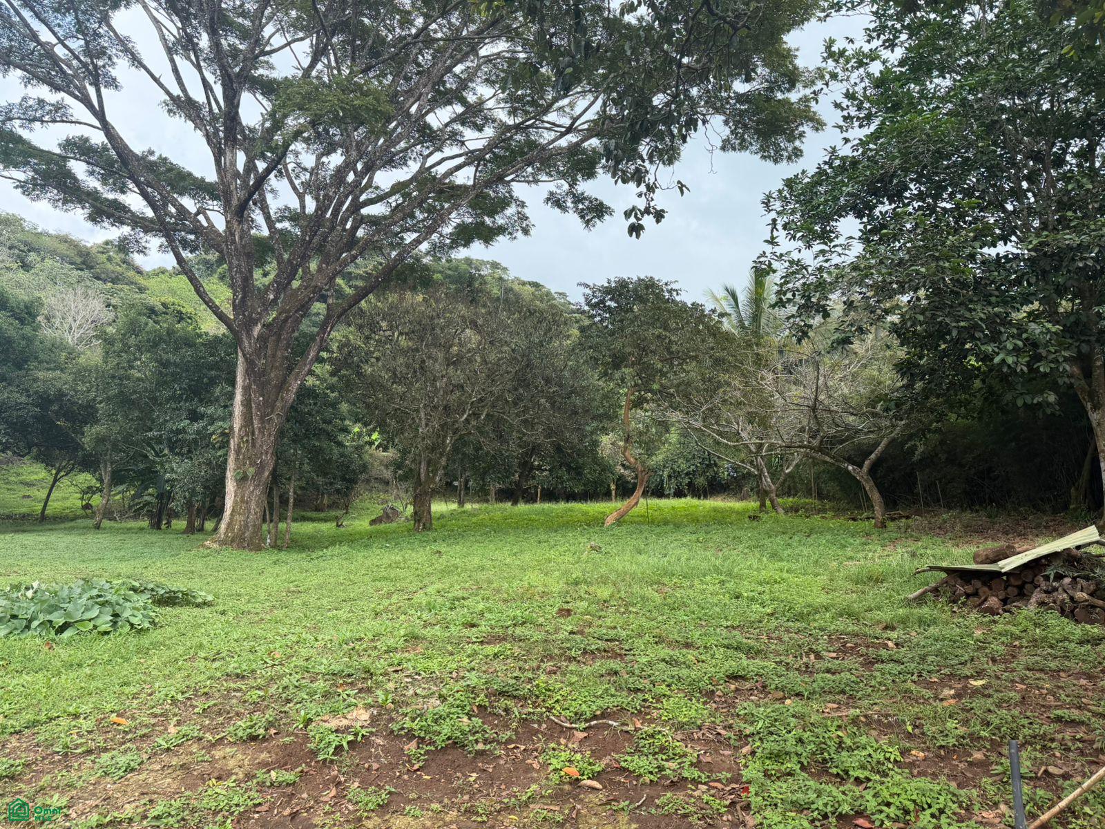 Land at Atenas
