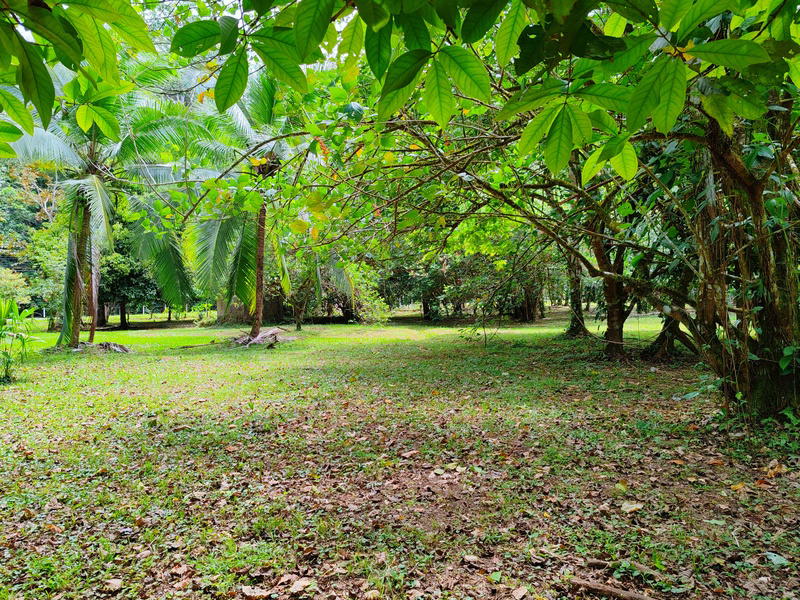 Terreno en Cahuita