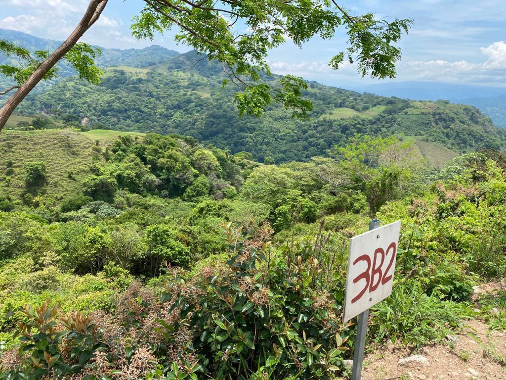 Property at Orotina