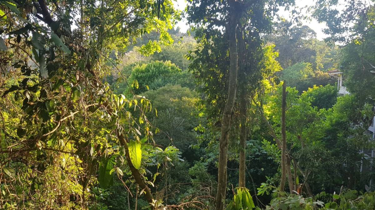 Estate at Quepos