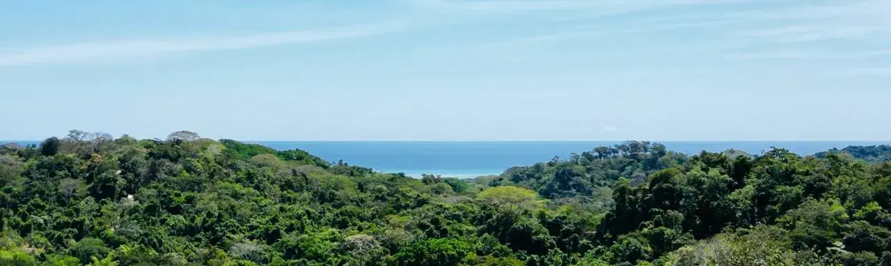 Terreno en Cóbano