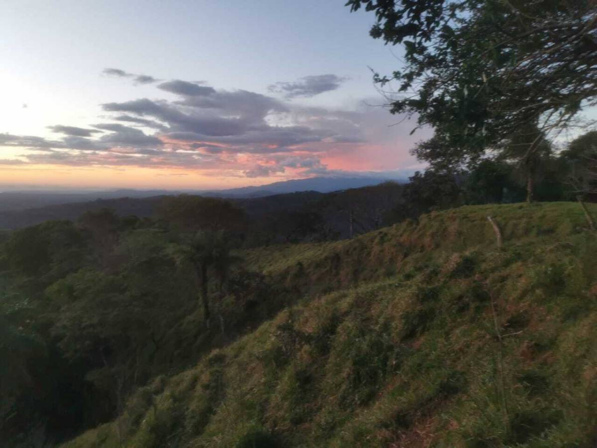 Finca en Orotina