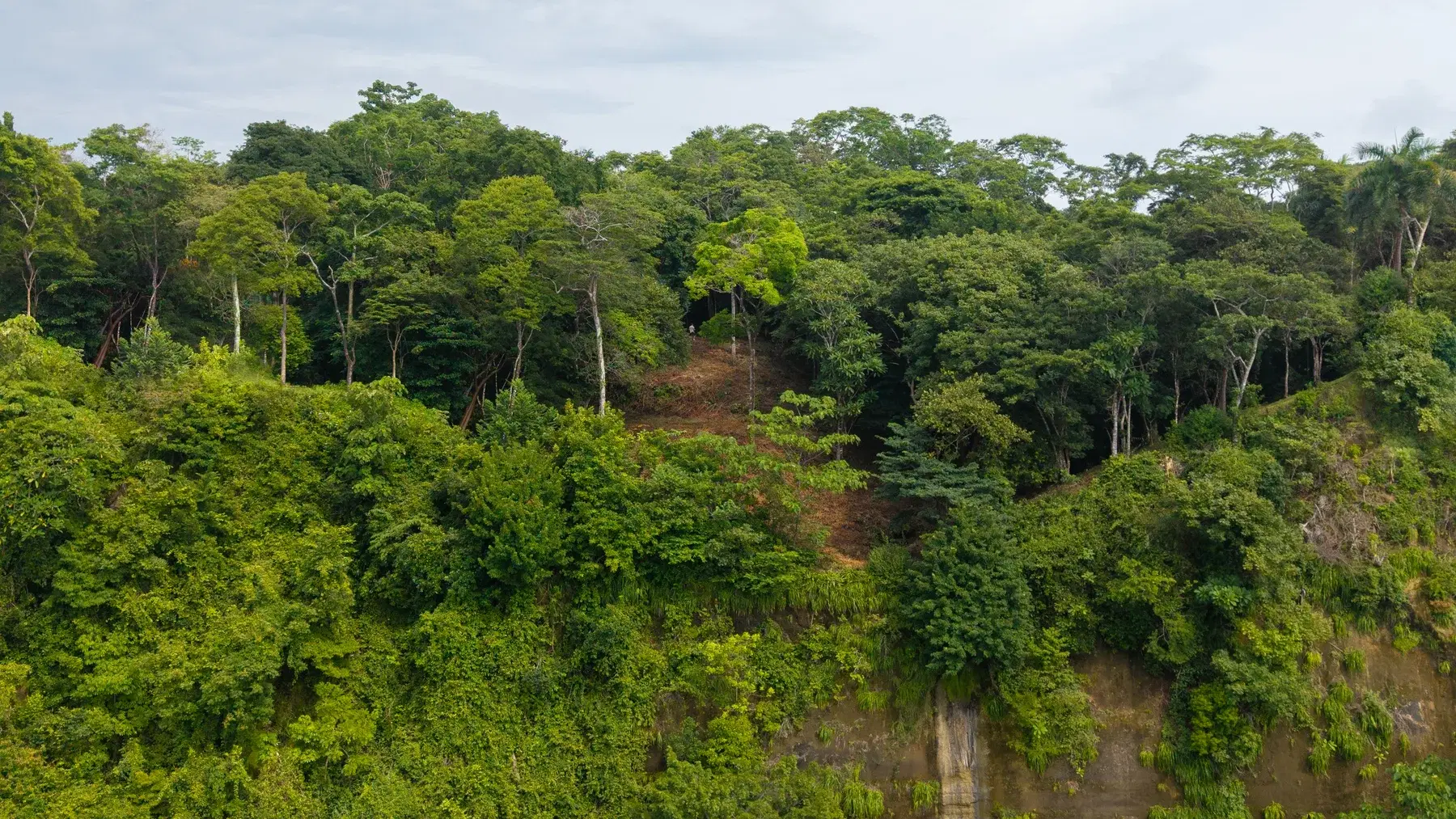 Land at Cóbano