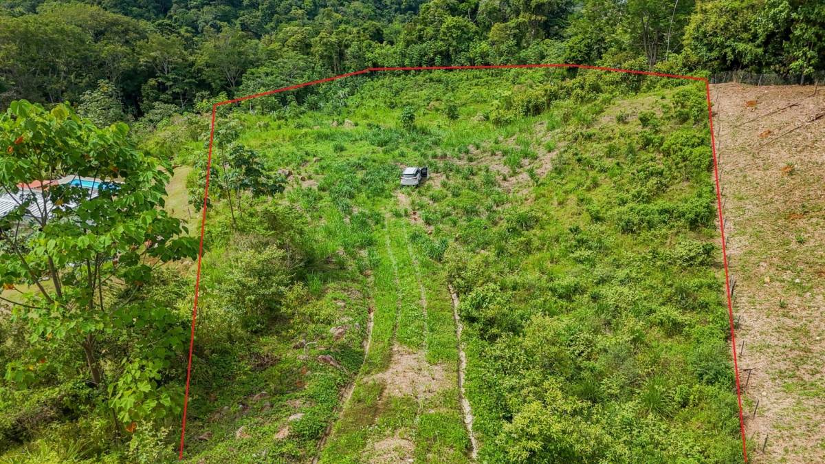 Finca en Ojochal