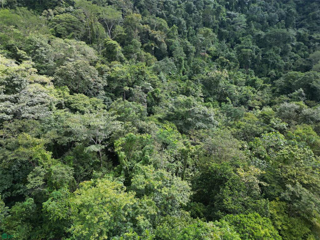 Terreno en Parrita