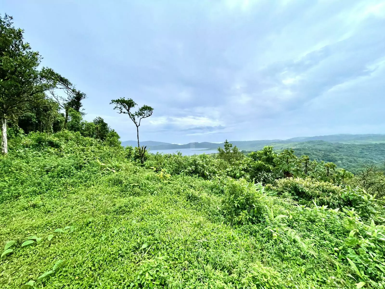 Propiedad en Arenal