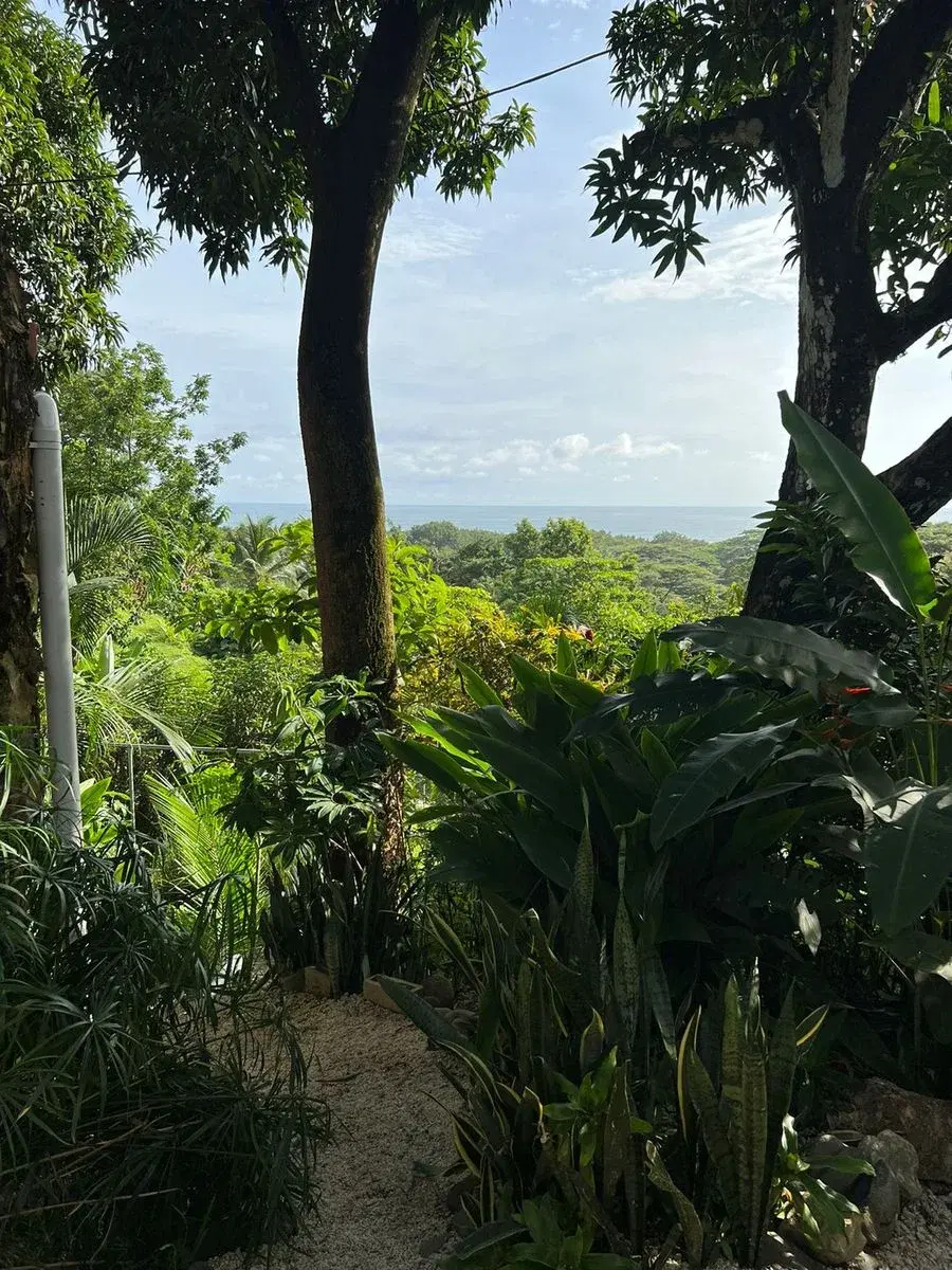 Casa en Cóbano