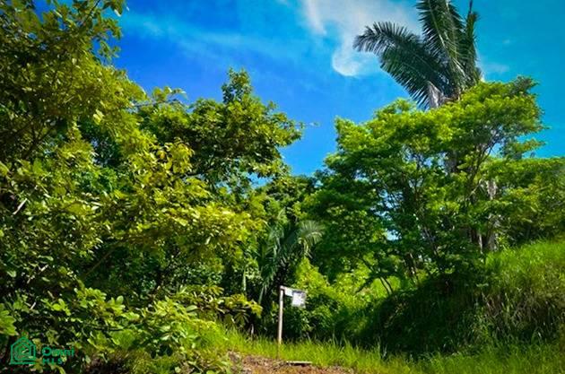 Land at Bejuco
