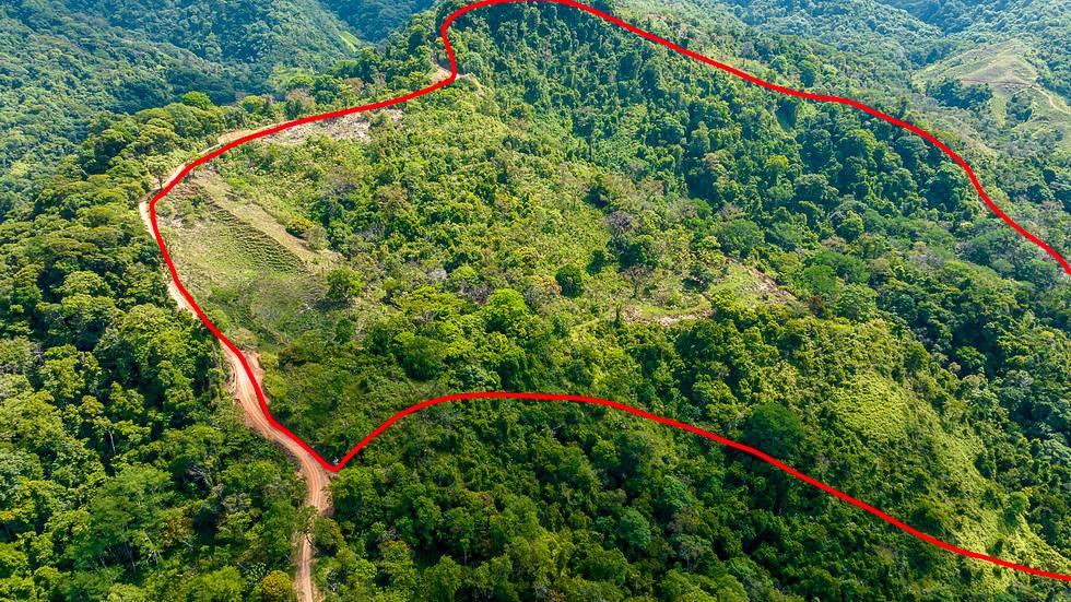 Finca en Uvita