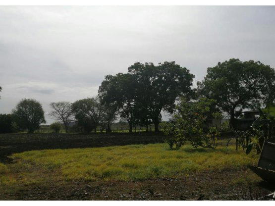 Property at Palmira