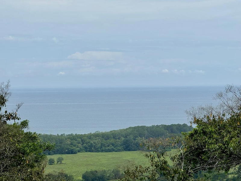 Land at Savegre