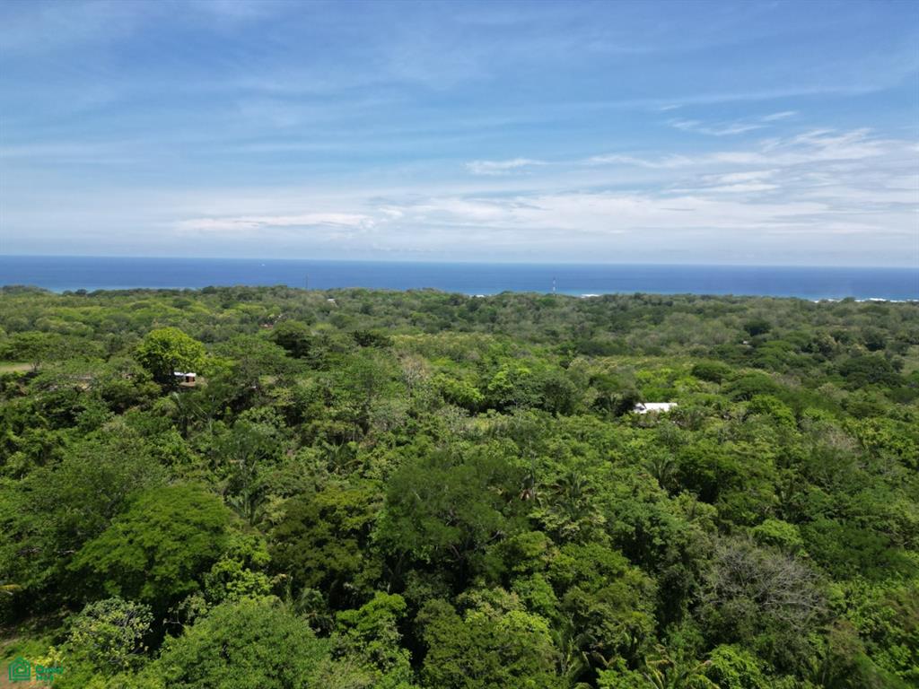 Land at Santa Cruz