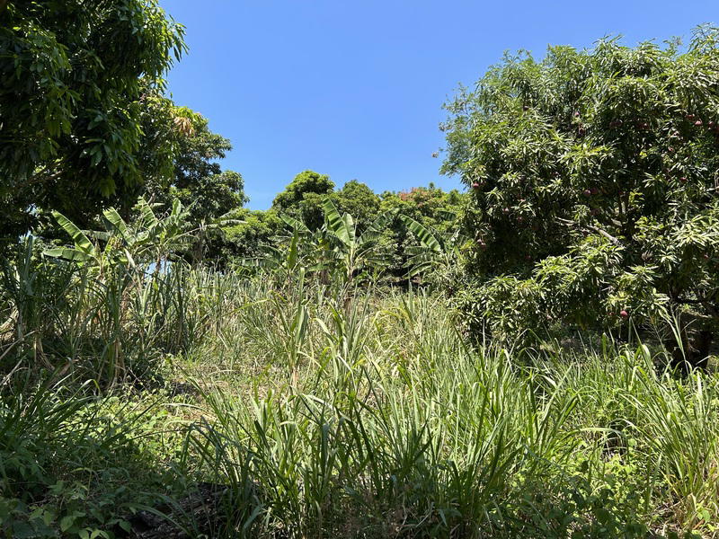 Terreno en Atenas