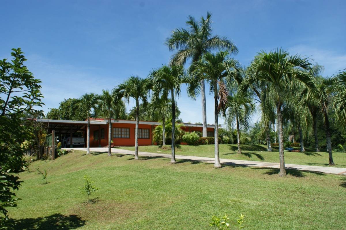Estate at San Mateo