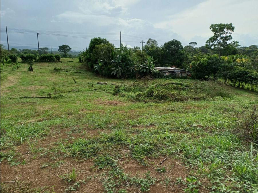 Terreno en Horquetas