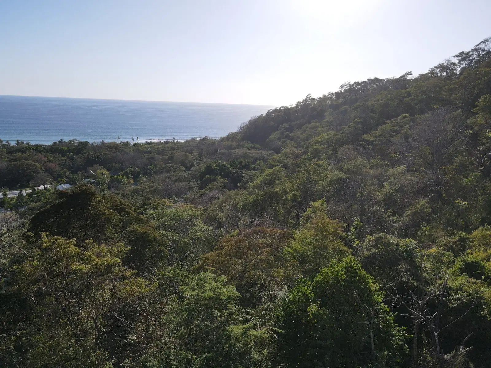 Terreno en Cóbano