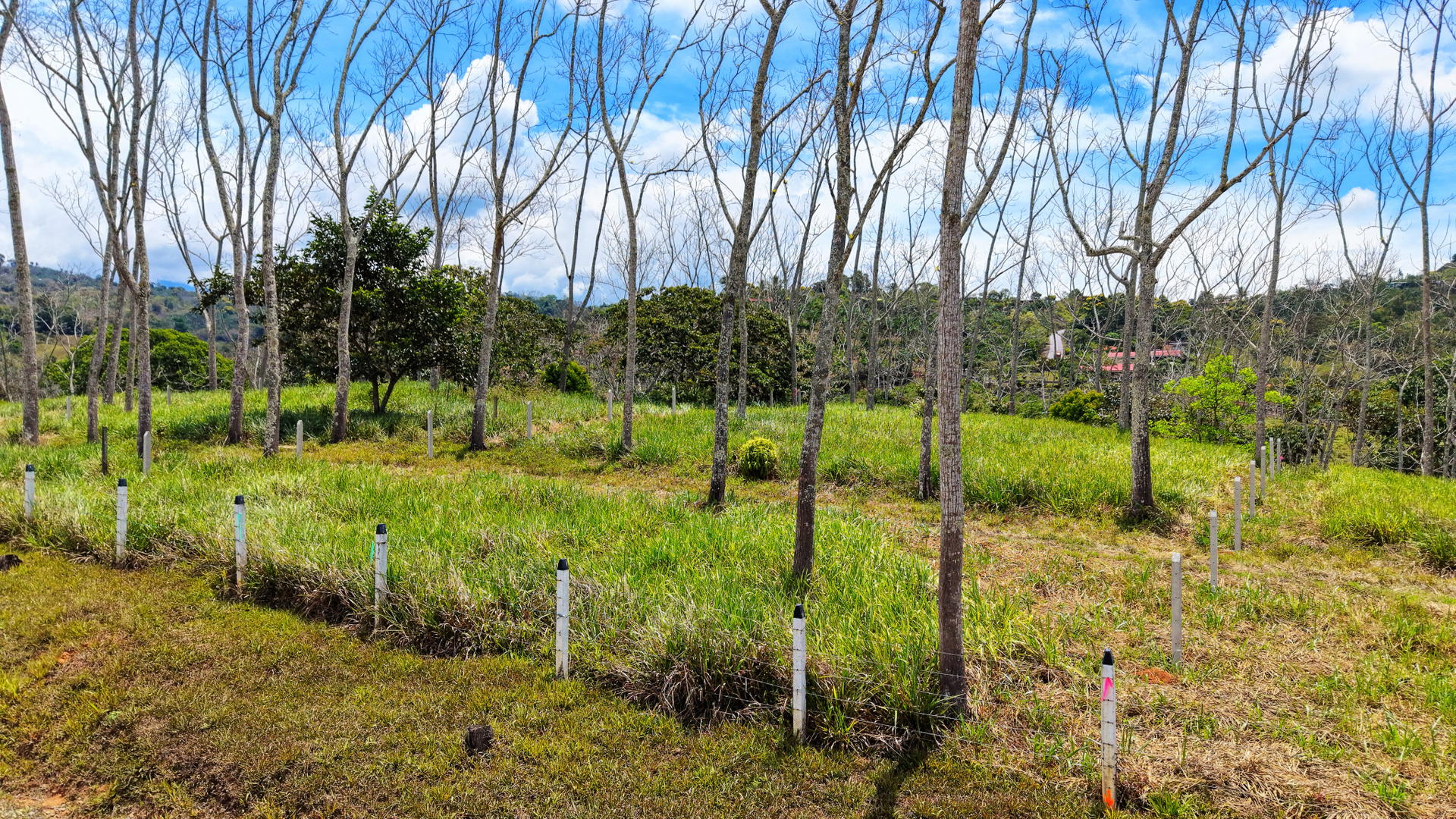 Terreno en Río Nuevo