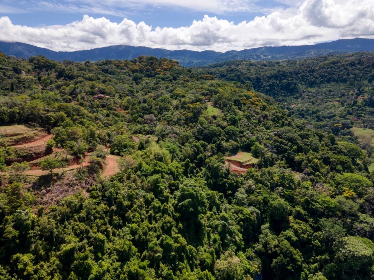 Propiedad en Platanillo