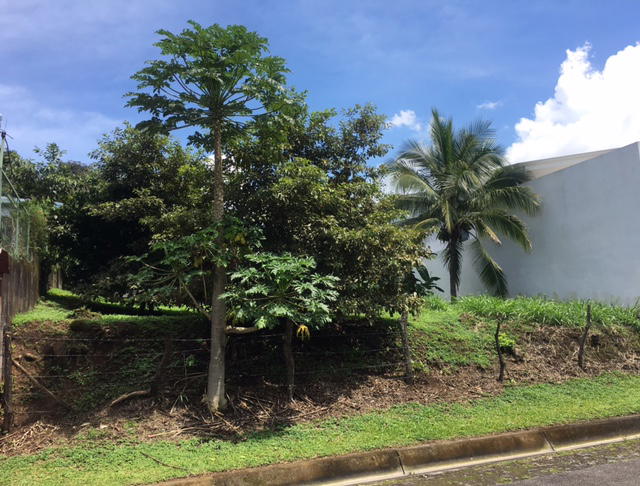 Propiedad en Brasil de Mora